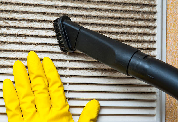 Best Duct Cleaning for Offices  in Holstein, IA